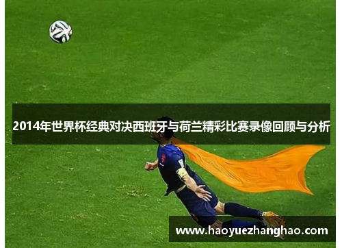 2014年世界杯经典对决西班牙与荷兰精彩比赛录像回顾与分析